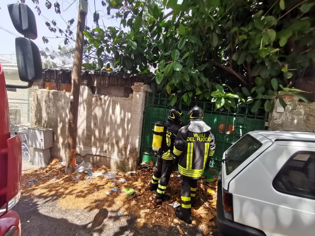 WhatsApp Image 2019 07 08 at 12.09.20 3