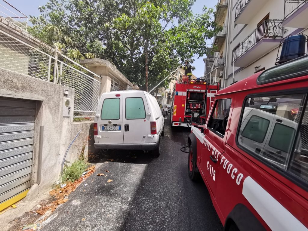 WhatsApp Image 2019 07 08 at 12.09.24 1