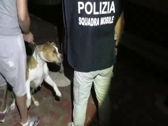 DETTAGLI E FOTO - Messina, operazione “Tunnel”. Eseguite dalla Polizia di Stato 12 misure cautelari 20 WhatsApp Image 2019 07 19 at 12.13.48 2