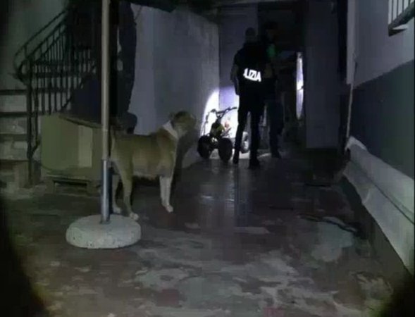 DETTAGLI E FOTO - Messina, operazione “Tunnel”. Eseguite dalla Polizia di Stato 12 misure cautelari 13 WhatsApp Image 2019 07 19 at 12.13.50 3