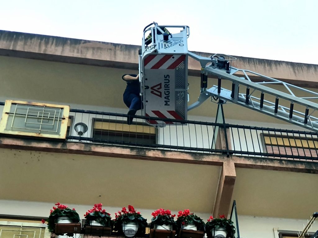 WhatsApp Image 2020 01 01 at 10.24.25