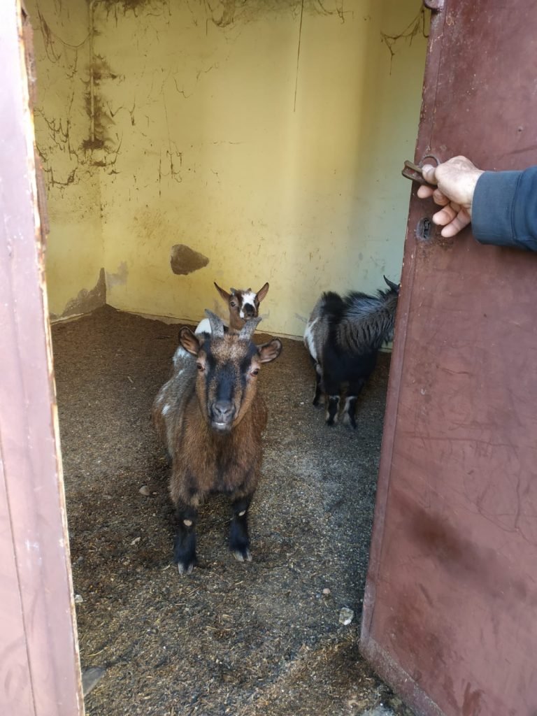 WhatsApp Image 2020 01 14 at 10.26.36