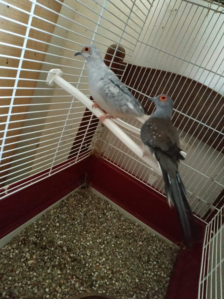 WhatsApp Image 2020 01 14 at 10.26.40 1