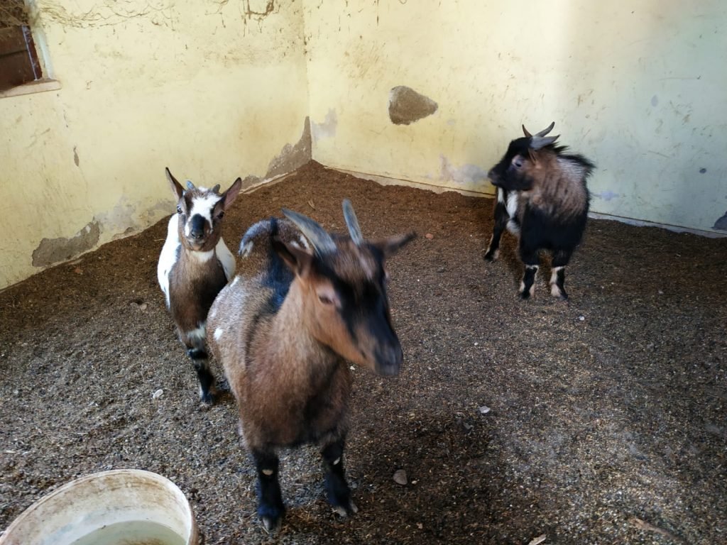 WhatsApp Image 2020 01 14 at 10.26.40 2