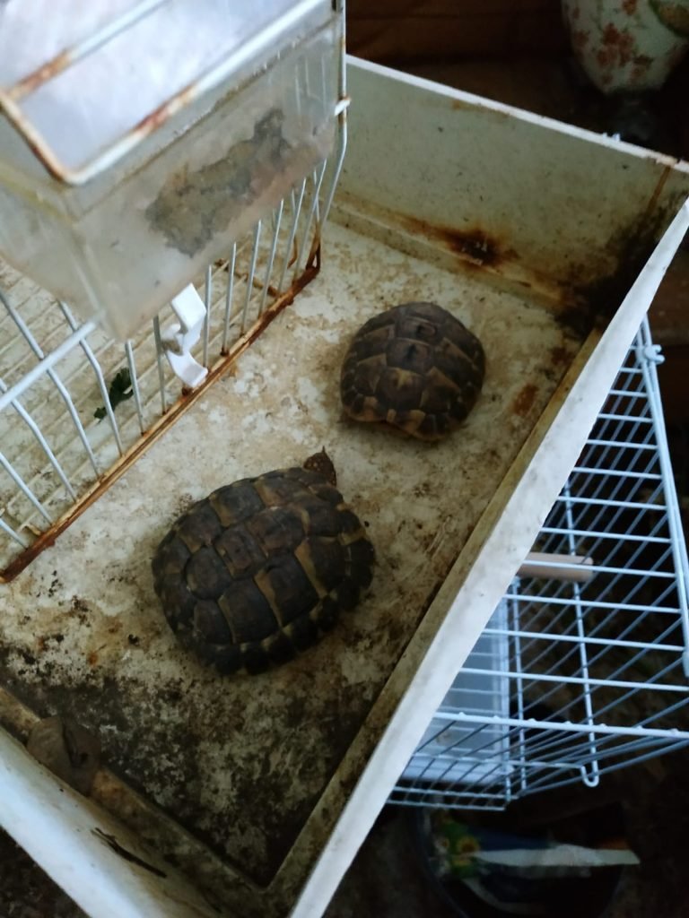 WhatsApp Image 2020 01 14 at 10.26.40 3