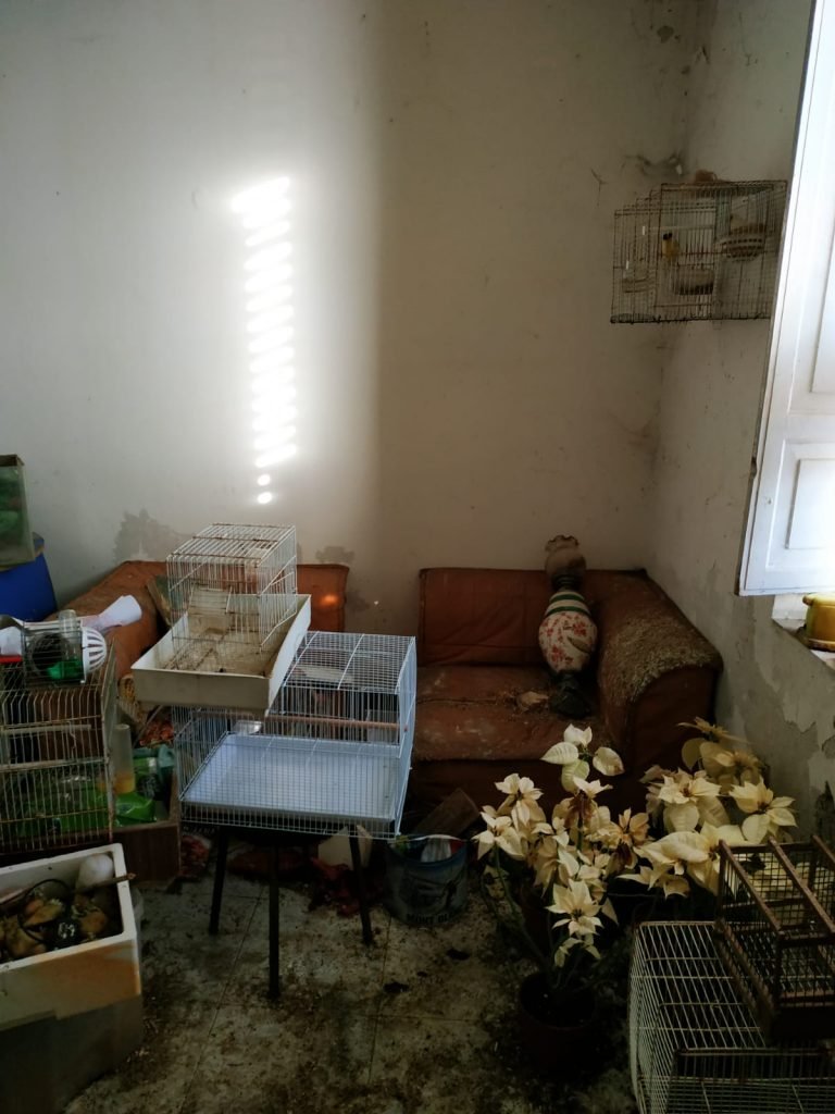 WhatsApp Image 2020 01 14 at 10.26.41 1