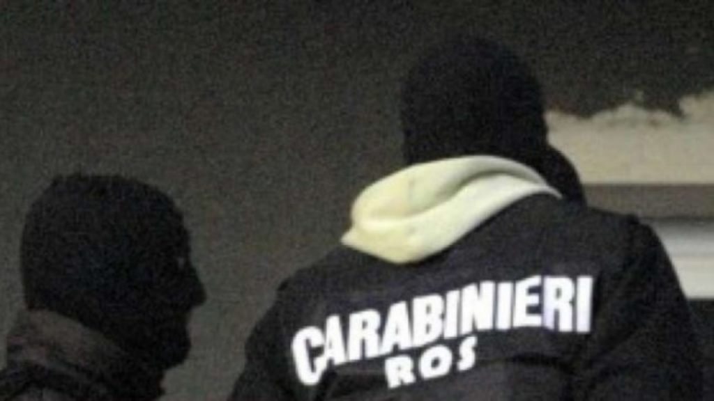 Operazione Dinastia: il traffico di droga, svolta epocale, per l'incremento di guadagni da estorsioni ridotti dalla crisi 3 IMG 20200228 WA0025