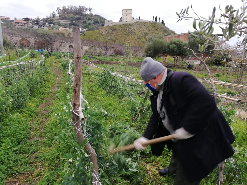 WhatsApp Image 2020 04 03 at 14.00.54