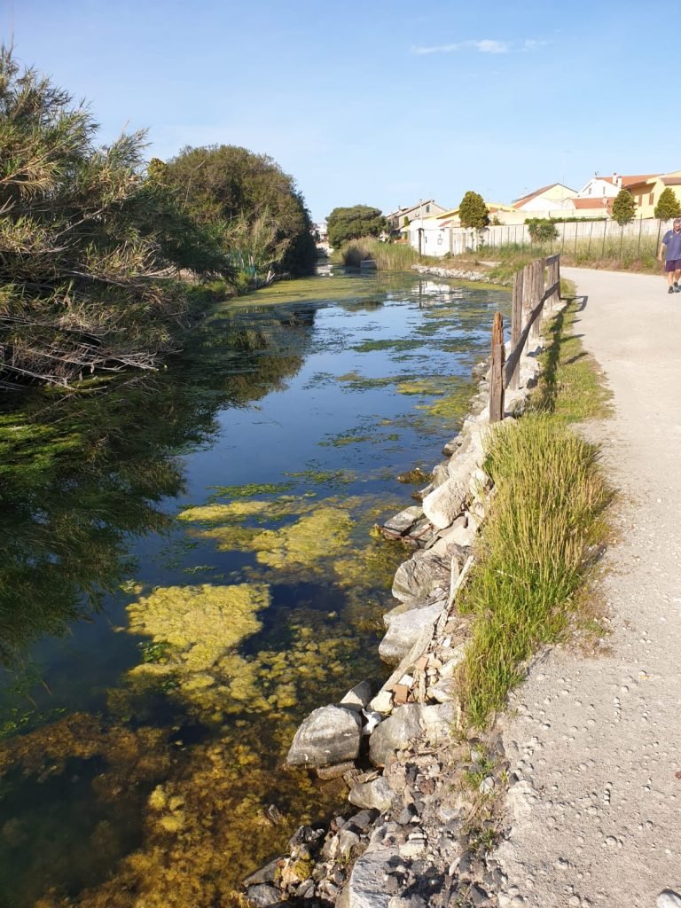 PHOTO 2020 05 06 17 45 26 1