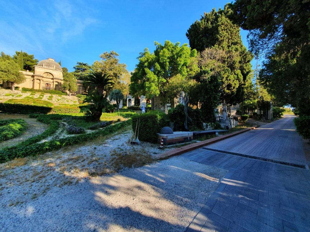 WhatsApp Image 2020 05 08 at 07.49.04