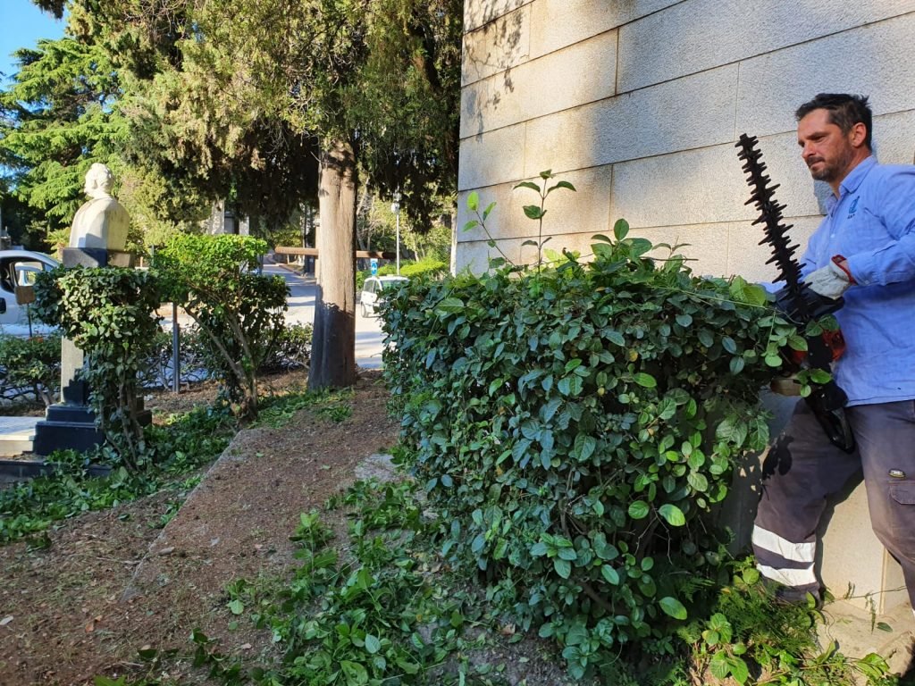 WhatsApp Image 2020 05 08 at 07.49.05 1