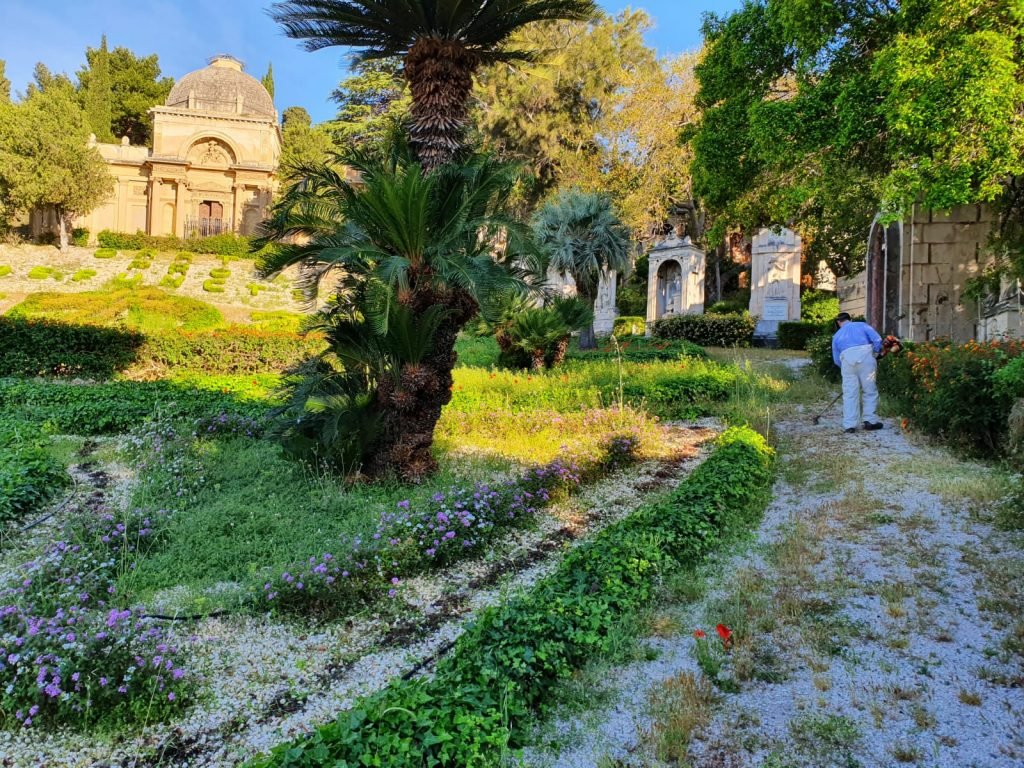 WhatsApp Image 2020 05 08 at 07.49.05