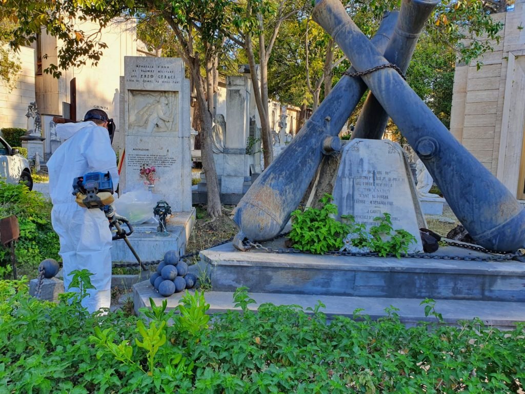 WhatsApp Image 2020 05 08 at 07.53.02 2