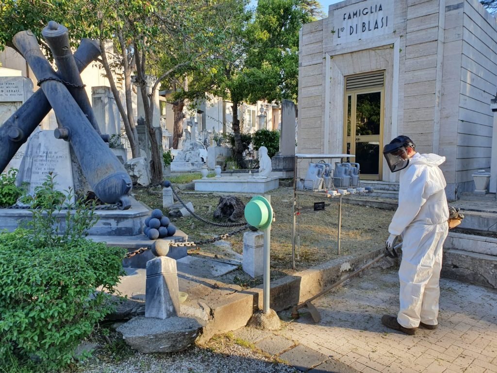 WhatsApp Image 2020 05 08 at 07.53.03 1