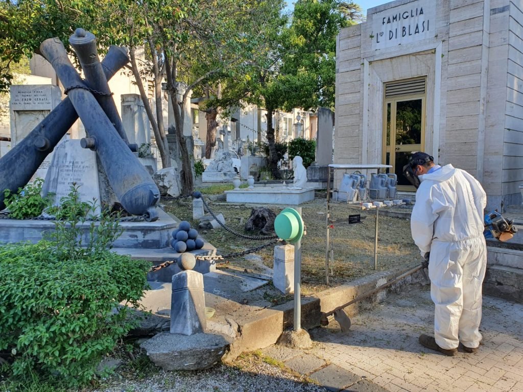 WhatsApp Image 2020 05 08 at 07.53.03