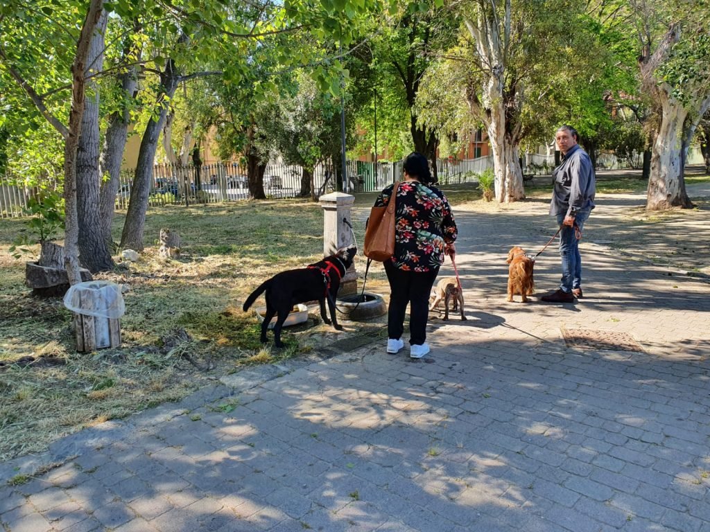 WhatsApp Image 2020 05 08 at 09.31.51