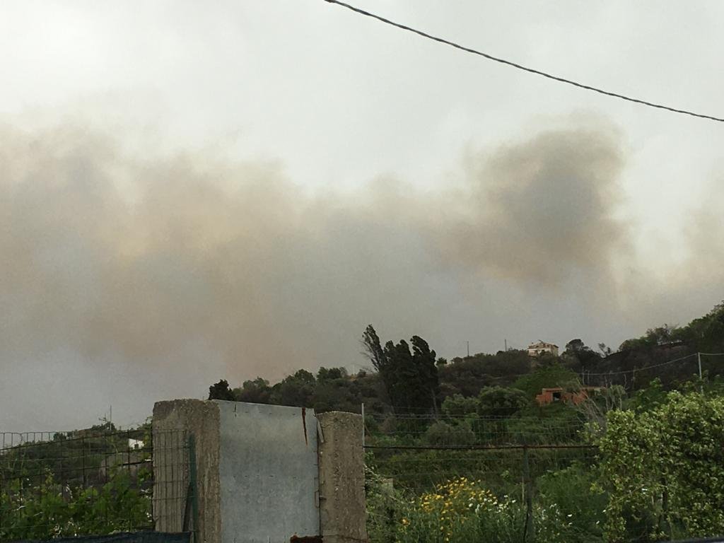 WhatsApp Image 2020 05 14 at 09.49.21 2 1