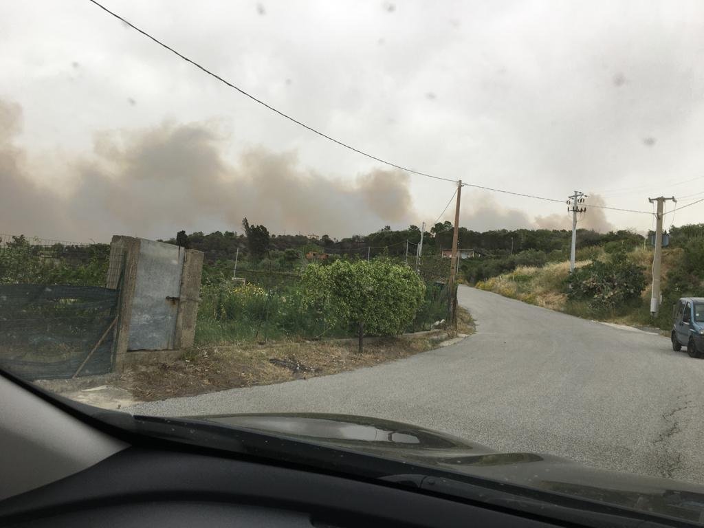 WhatsApp Image 2020 05 14 at 09.49.21 3