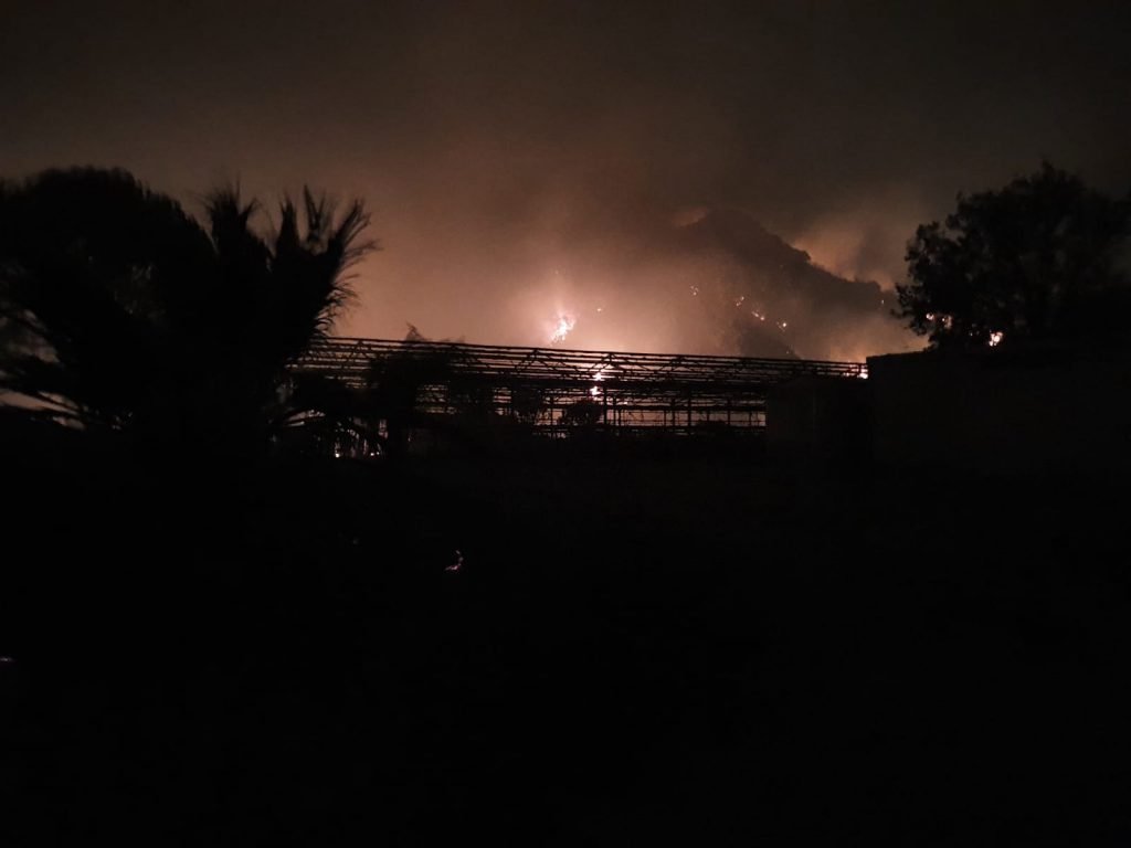 WhatsApp Image 2020 05 17 at 08.24.03