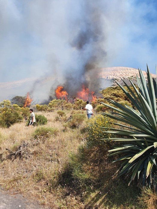 f49ff3407ce0ef6e9e0ea567f0a9c7d4