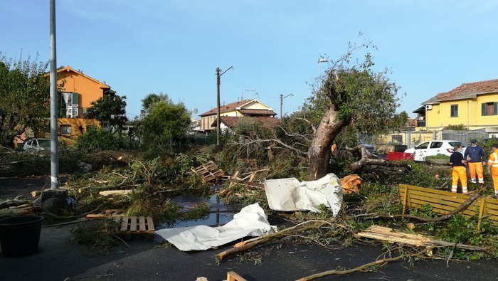 ecdf386059249f7b21b4c2d2e289bc88